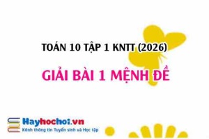 Giải chi tiết Toán 10 Bài 1: Mệnh đề (Kết nối tri thức)